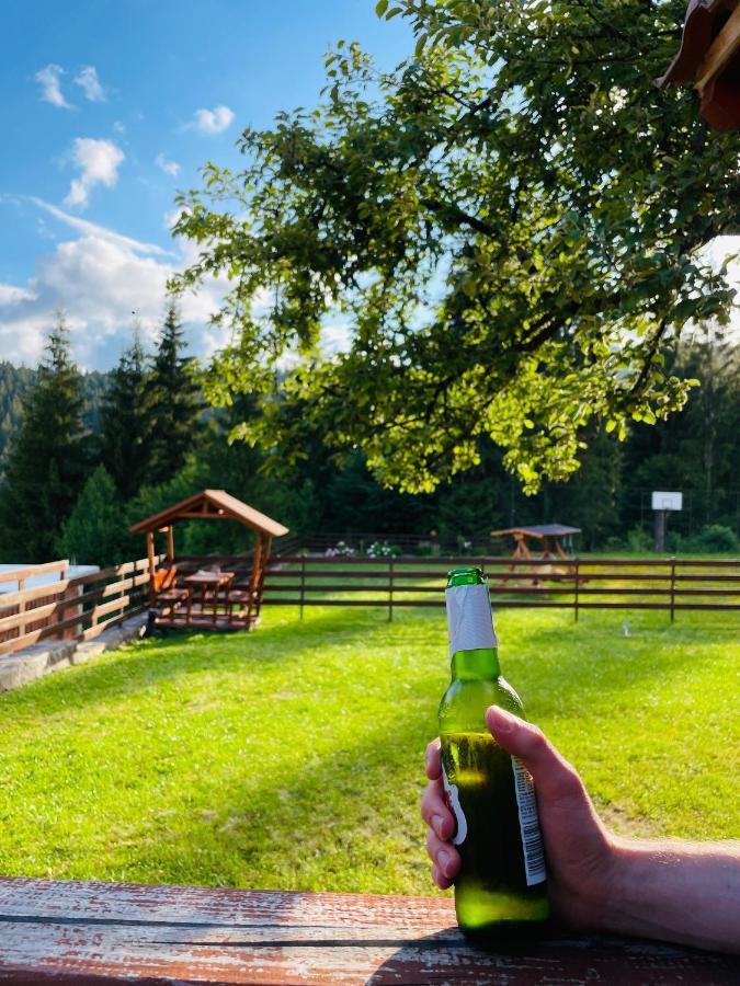 Villa Montana Borsec Bagian luar foto