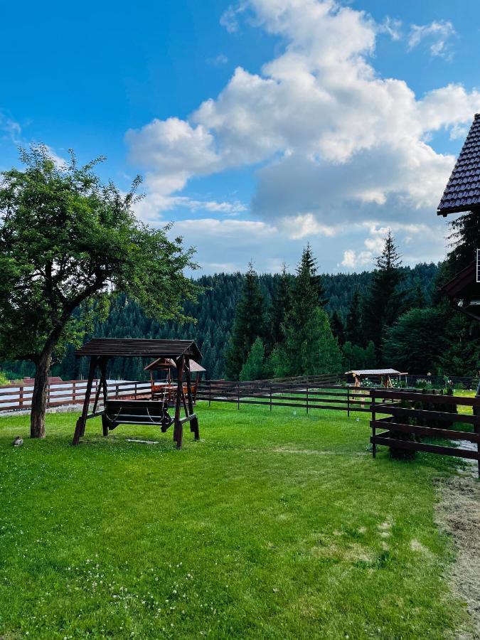 Villa Montana Borsec Bagian luar foto