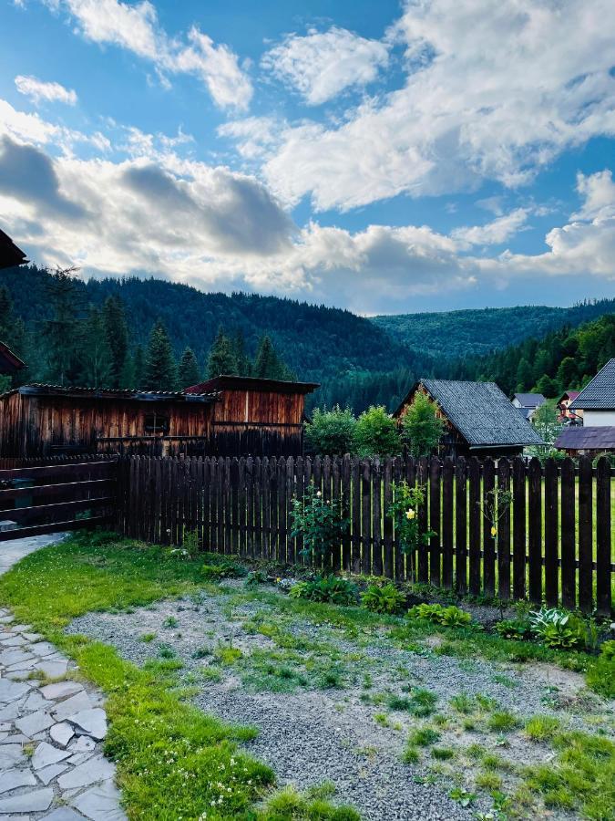 Villa Montana Borsec Bagian luar foto