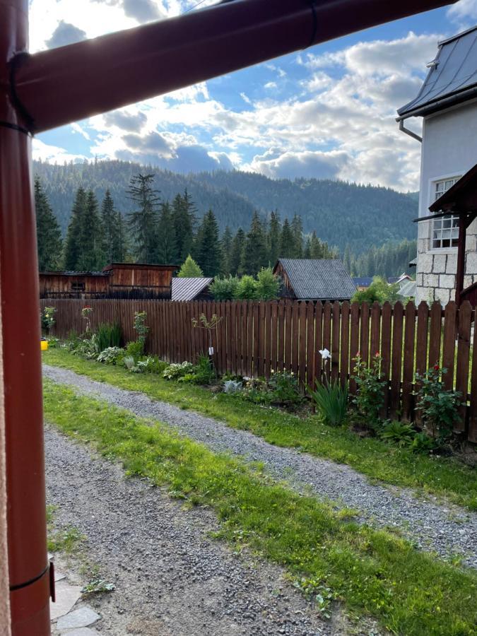 Villa Montana Borsec Bagian luar foto