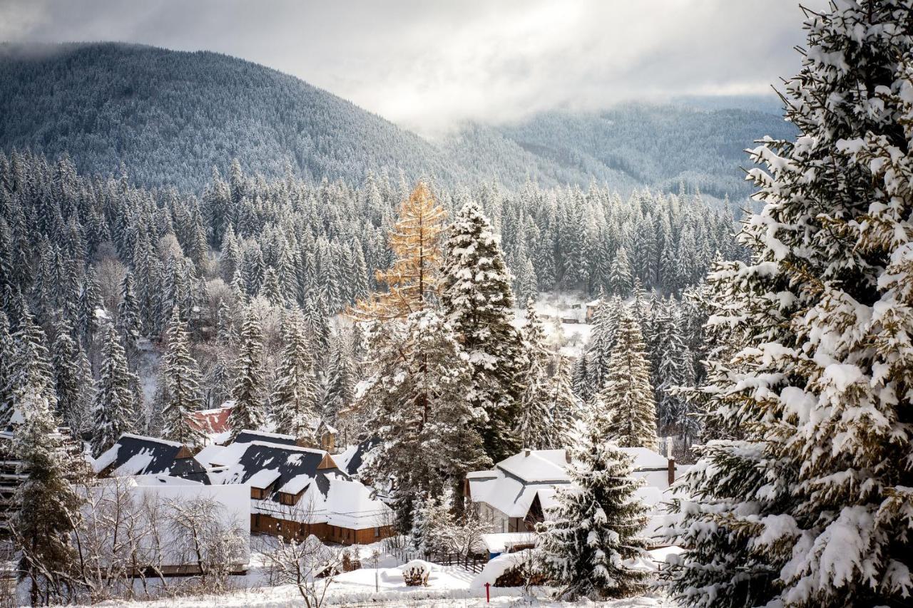 Villa Montana Borsec Bagian luar foto