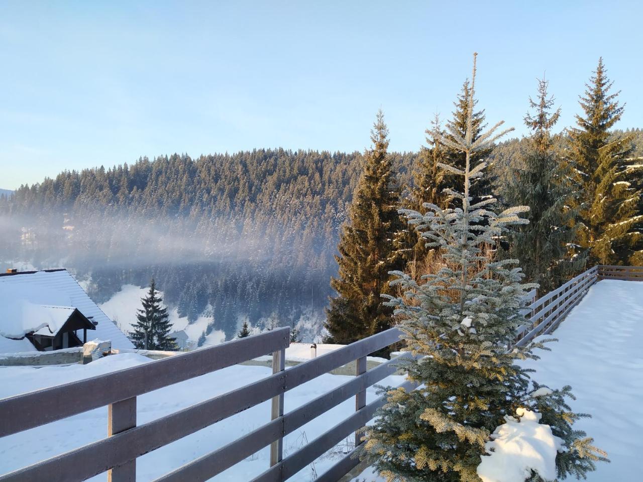 Villa Montana Borsec Bagian luar foto