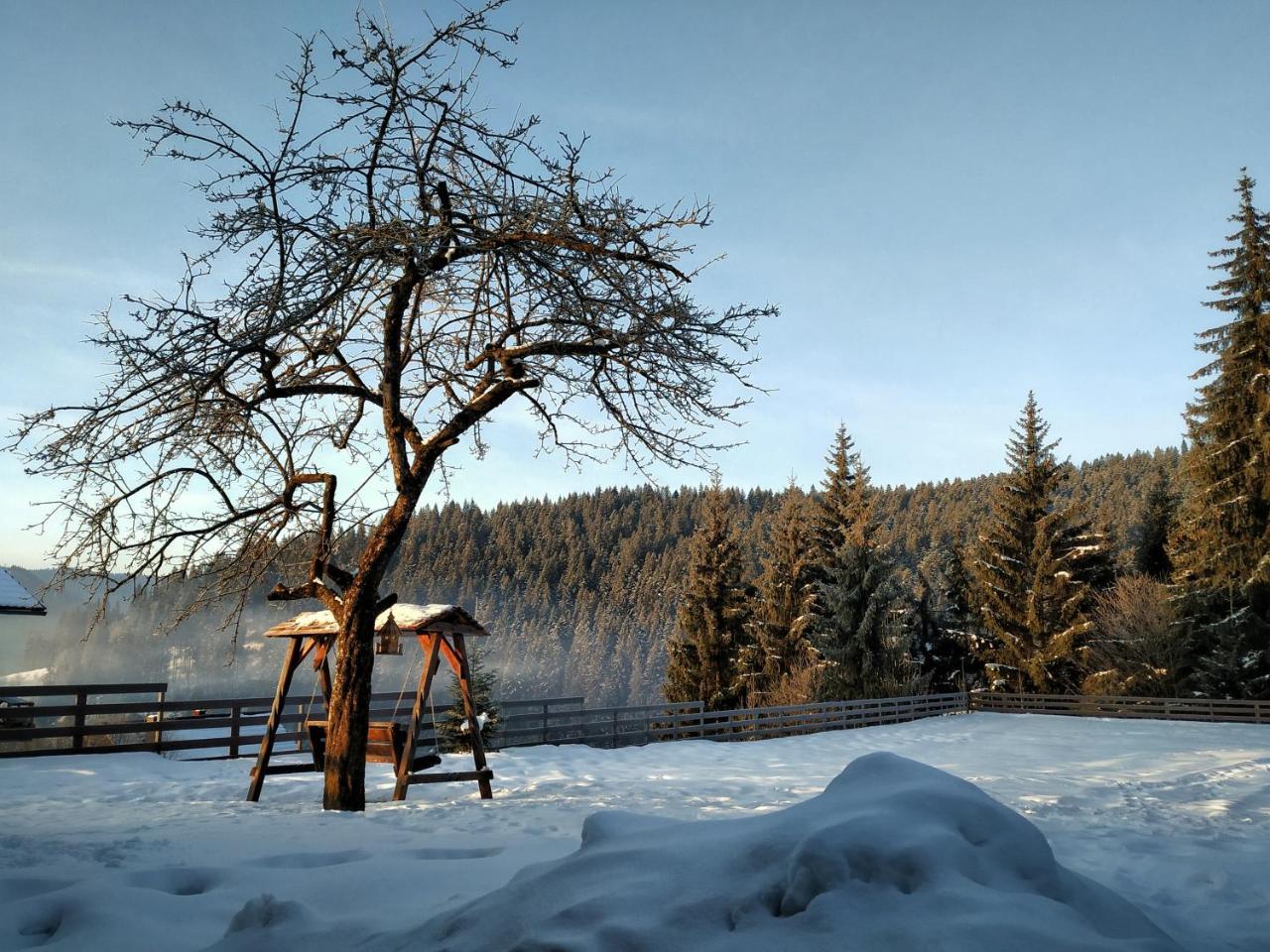 Villa Montana Borsec Bagian luar foto